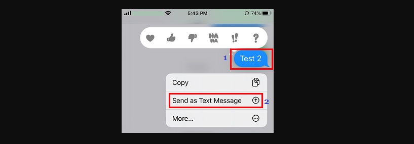 image 1 How to Send Text Messages Instead of iMessage on Your iPhone