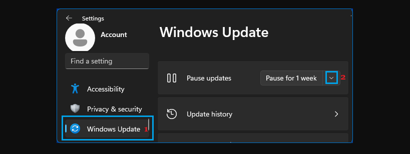 Disable Automatic Updates in Windows