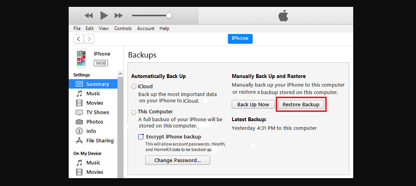 image 15 A Step-by-Step Guide to iPhone Backup Recovery