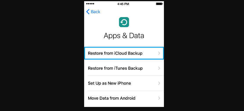 image 9 A Step-by-Step Guide to iPhone Backup Recovery
